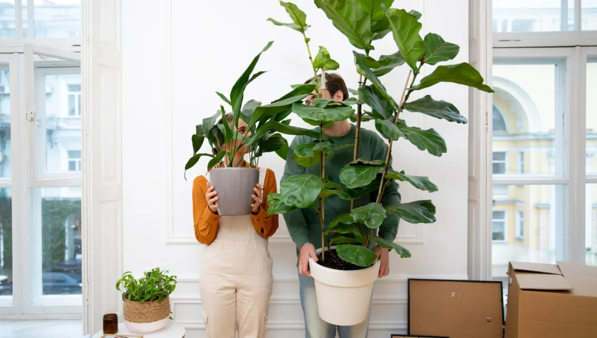 Rośliny doniczkowe w stylowych donicach i stojakach we wnętrzu